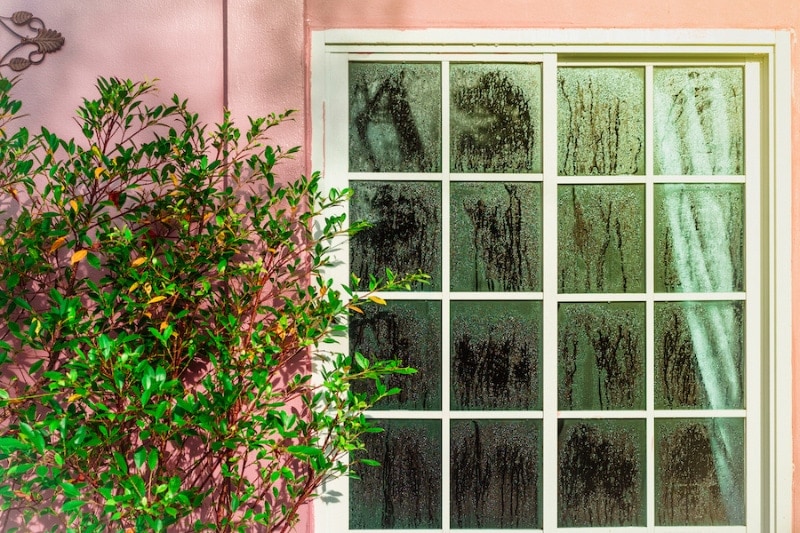 Why Is a Home Dehumidifier Important? Glass door with condensation and a tree, high humidity. Texture of water on a glass. Phenomenon of nature and exterior concept.