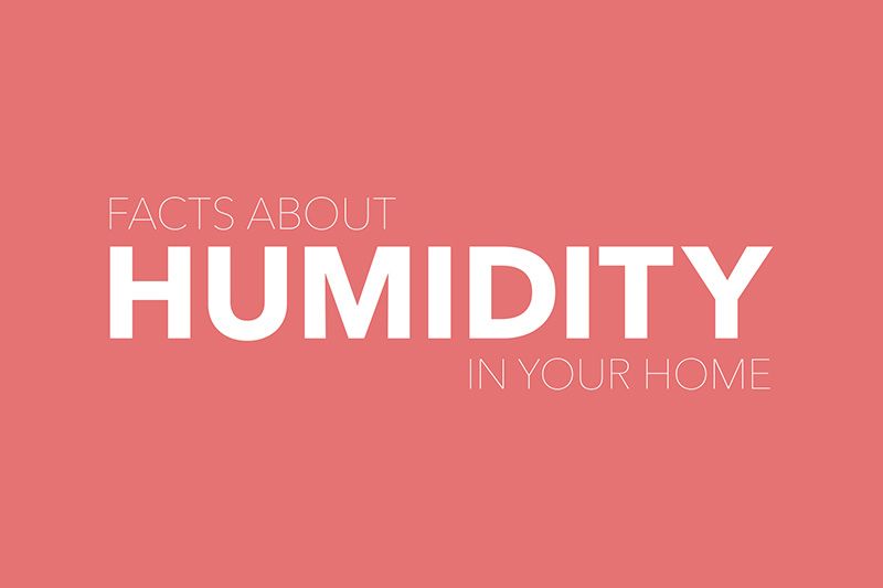 Video - Facts About Humidity.|